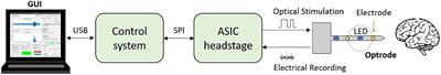 A Closed-Loop Optogenetic Platform